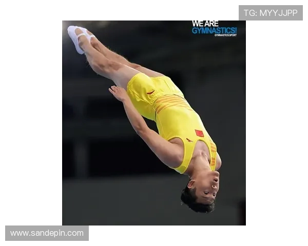 世界蹦床锦标赛空中转体的轴向稳定性